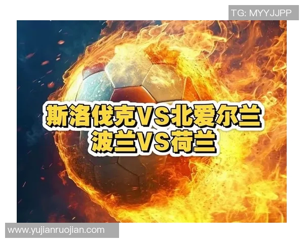 006荷兰对阵北爱尔兰精彩回顾与赛后分析