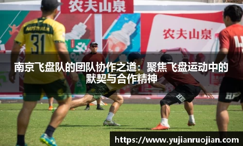 易游体育
